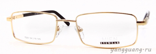 MIEN 7220 C2 54-19-145