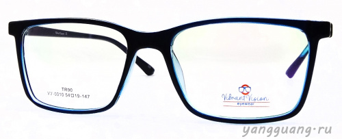 ViBrant Vision 0010 C5 54-19-147