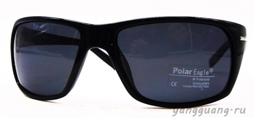 Polar Eagle 8221 C1