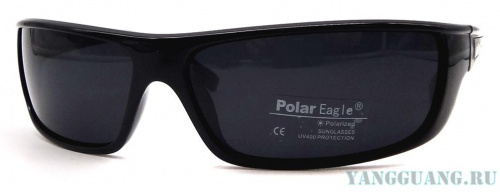 Polar Eagle 8251 C1