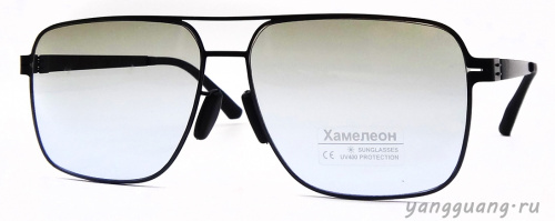 Хамелон 804 C6