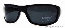 Polar Eagle 8208 C1