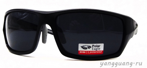 Polar Eagle 8258 C3