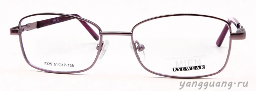 MIEN 7325 C36 51-17-135