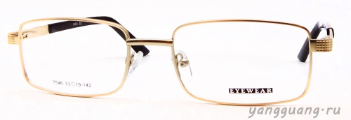 MIEN 7546 C79 53-19-142