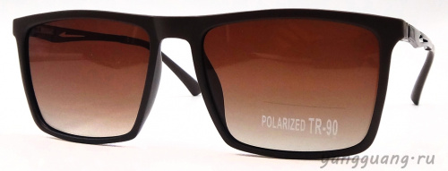 Polarized TR-90 3055 C2 - «ЕКБ ОПТИКА» Polarized TR-90 3055 C2