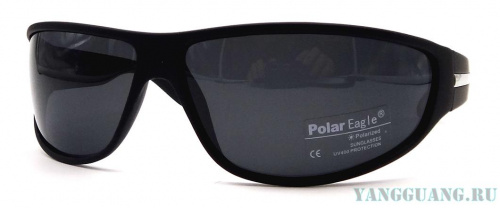 Polar Eagle 8201 C3