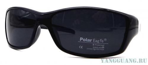 Polar Eagle 8242 C1