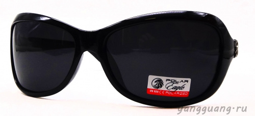 Polar Eagle 09550 C1