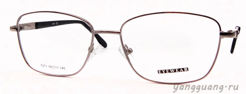 MIEN 7271 C85 55-17-145