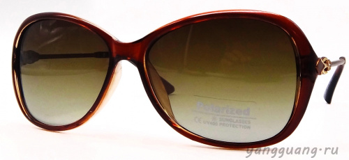 Polarized 8281 C2 - «ЕКБ ОПТИКА» Polarized 8281 C2