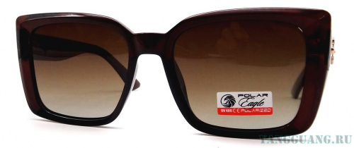 Polar Eagle 09491 C2