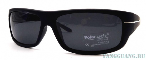 Polar Eagle 8203 C3