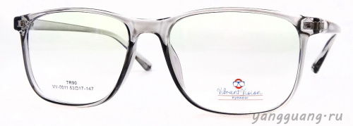 ViBrant Vision 0011 C10 53-17-147 - «ЕКБ ОПТИКА» ViBrant Vision 0011 C10 53-17-147