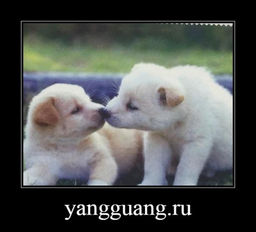 Салфетка № 27 - «ЕКБ ОПТИКА» Салфетка № 27