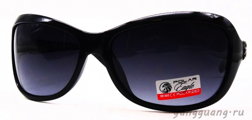 Polar Eagle 09550 C3