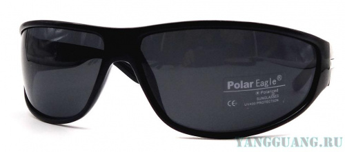 Polar Eagle 8201 C1