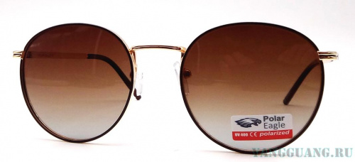 Polar Eagle 06205 C2