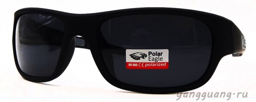 Polar Eagle 8249 C3