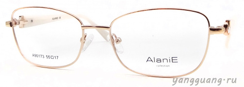 Alanie 90173 C1 55-17-142 - «ЕКБ ОПТИКА» Alanie 90173 C1 55-17-142