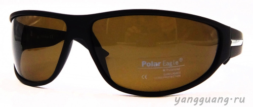 Polar Eagle 8201 C2