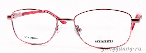 MIEN 8772 C39 51-17-137