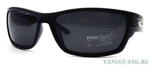 Polar Eagle 8211 C1