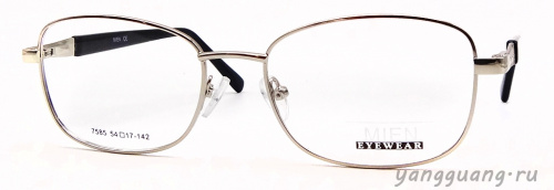 MIEN 7585 C5 54-17-142