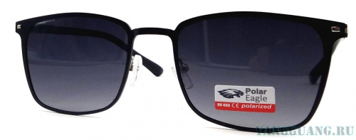 Polar Eagle 8738 С5