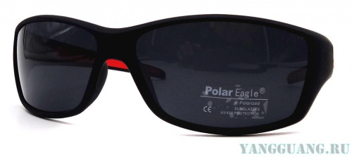 Polar Eagle 8242 C4