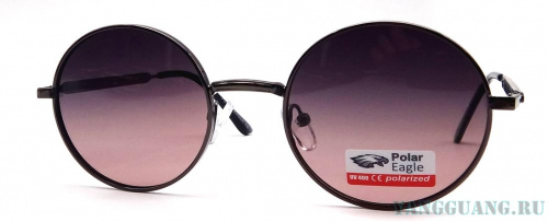 Polar Eagle 06314 C4