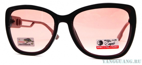 POLAR EAGLE 07401 C3