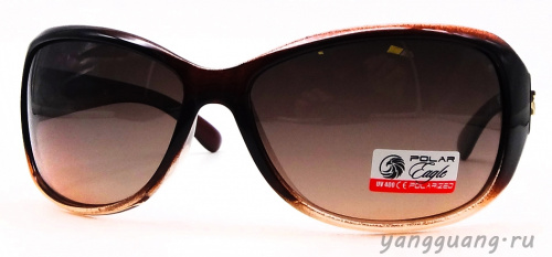 Polar Eagle 09547 C5