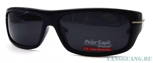 Polar Eagle 8203 C1