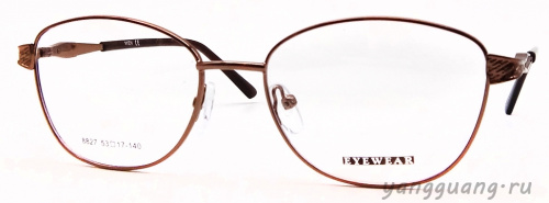 MIEN 8827 C100 53-17-140