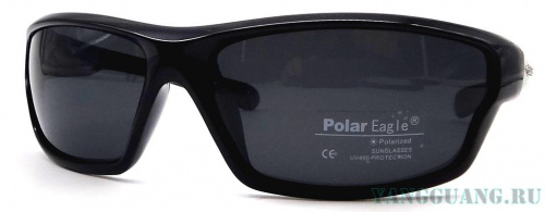 Polar Eagle 8207 C1