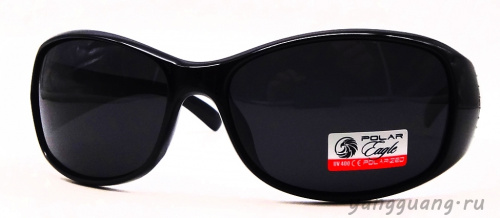 Polar Eagle 09551 C1