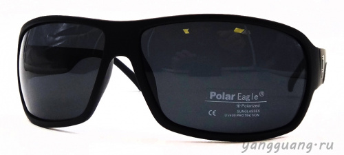 Polar Eagle 8229 C3