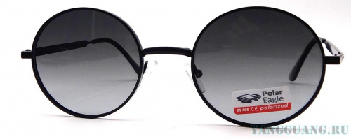 Polar Eagle 06314 C1