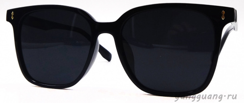 Polarized TR-90 6042 C1 - «ЕКБ ОПТИКА» Polarized TR-90 6042 C1