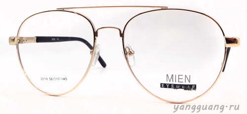 MIEN 2019 C2 56-17-145