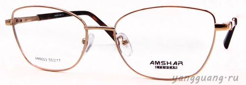 AMSHAR 9003 C4 55-17-140