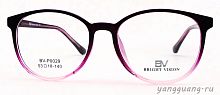 Bright Vision 0029 C4 53-18-140