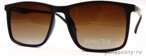Polarized TR-90 3069 C2 - «ЕКБ ОПТИКА» Polarized TR-90 3069 C2