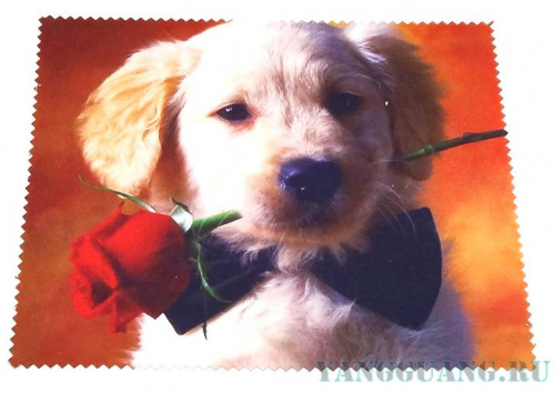 Салфетка № 11