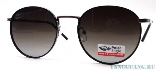 Polar Eagle 06205 C6