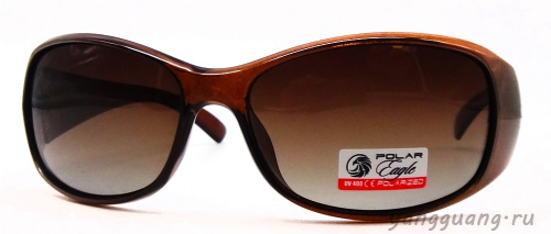 Polar Eagle 09551 C4