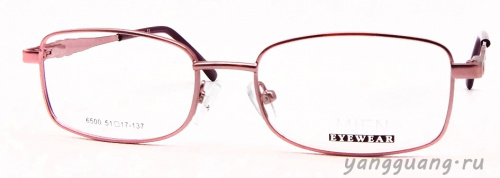 MIEN 6500 C39 51-17-137