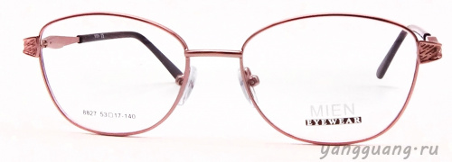 MIEN 8827 C39 53-17-140