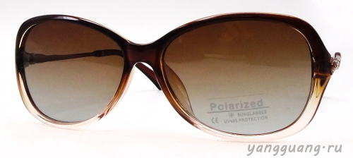 Polarized 6071 C2 - «ЕКБ ОПТИКА» Polarized 6071 C2
